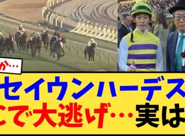 【ジャパンカップ2025】セイウンハーデスJCで大逃げ…実は…【競馬反応集】