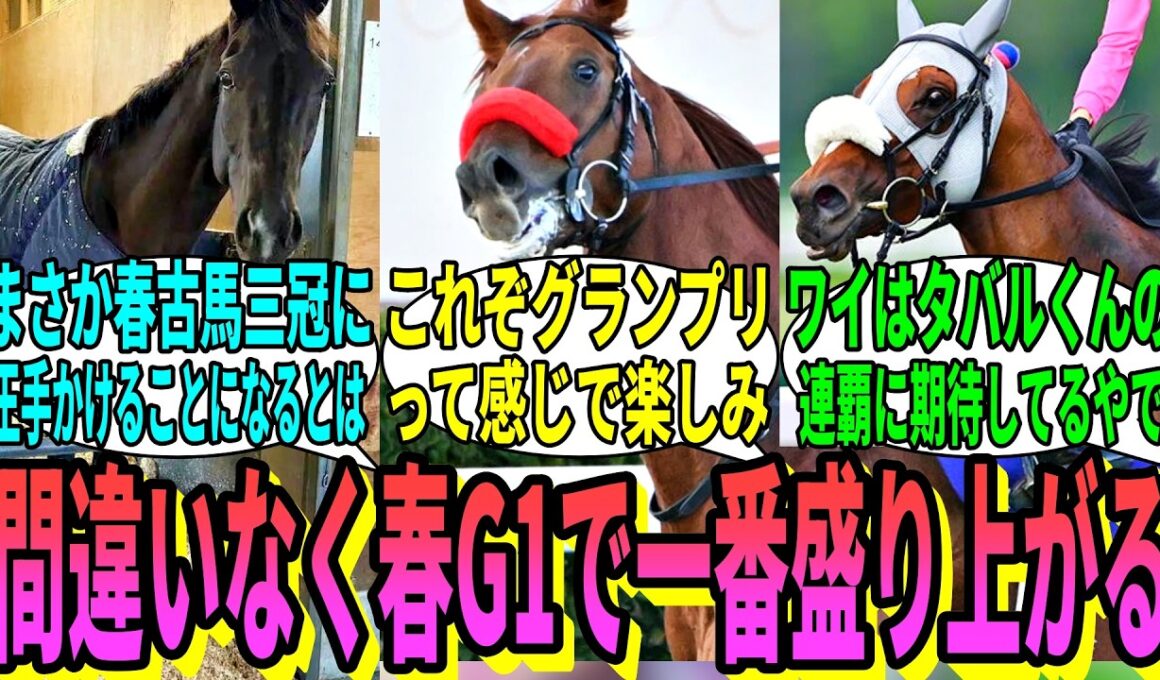 【競馬の反応集】「今年の宝塚記念、あまりにも豪華メンバー」に対する視聴者の反応集