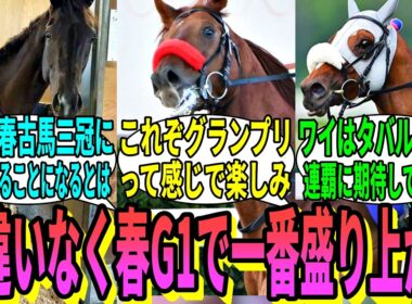 【競馬の反応集】「今年の宝塚記念、あまりにも豪華メンバー」に対する視聴者の反応集