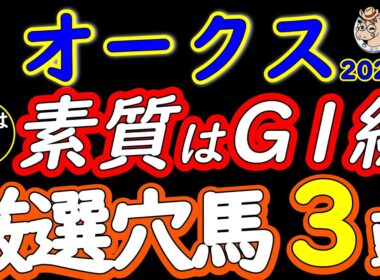 【オークス2026穴馬】その人気、本当に2400mで残れるのか。“壊れた瞬間に終わる”東京芝2400mの罠【優駿牝馬】