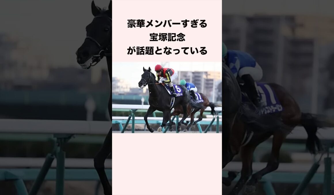 豪華メンバーすぎる宝塚記念が話題となっている #競馬 #競馬予想 #shorts