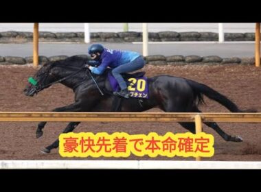 【日本ダービー2026】ロブチェン圧巻先着！松山騎手も距離適性に自信、2冠制覇へ視界良好