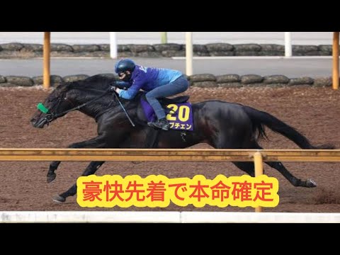 【日本ダービー2026】ロブチェン圧巻先着！松山騎手も距離適性に自信、2冠制覇へ視界良好