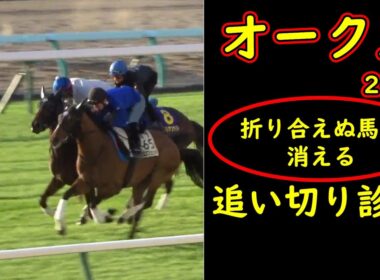 【オークス2026追い切り診断】折り合えない馬から消える…東京2400mで最後に残る馬を追い切りから見抜く【優駿牝馬2026】