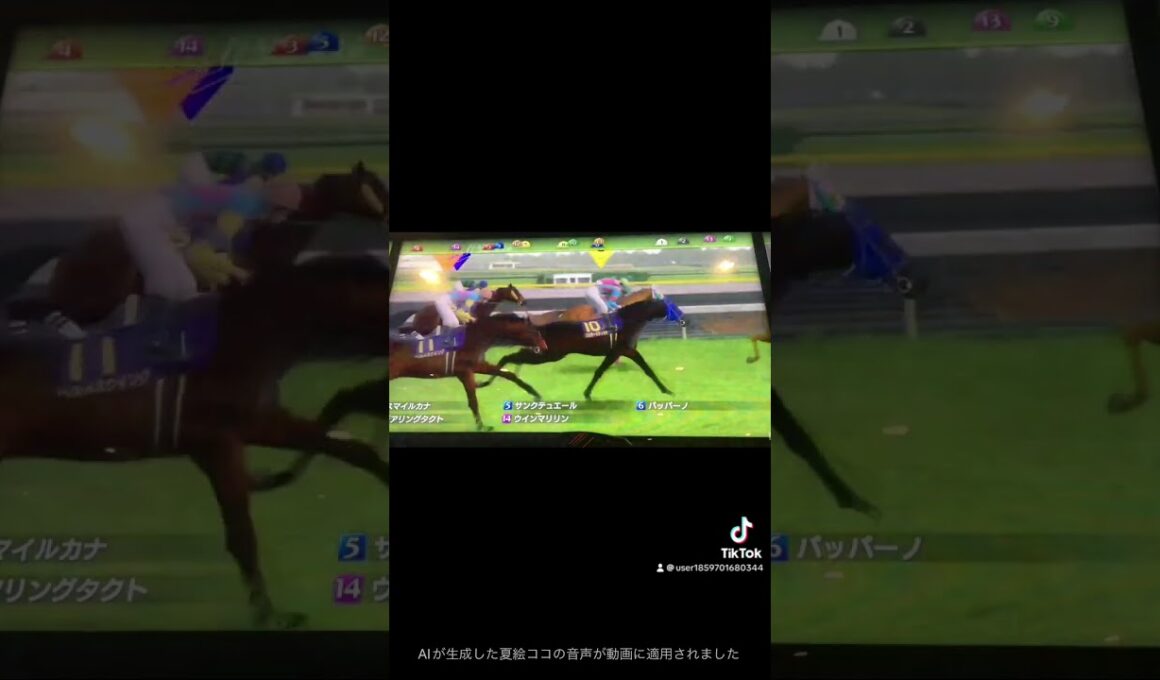 競馬・(G1)オークス(優駿牝馬)(去年を振り返って)