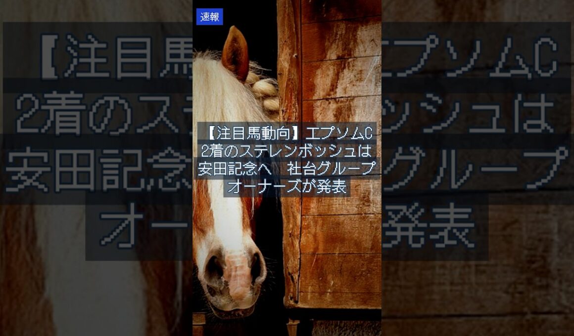 【注目馬動向】エプソムC2着のステレンボッシュは安田記念へ　社台グループオーナーズが発表｜競馬NEWS2026/5/20 #Shorts