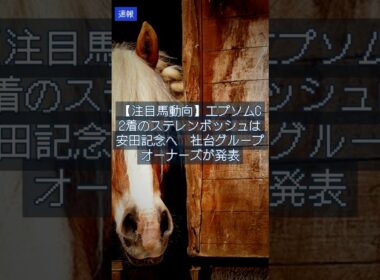 【注目馬動向】エプソムC2着のステレンボッシュは安田記念へ　社台グループオーナーズが発表｜競馬NEWS2026/5/20 #Shorts
