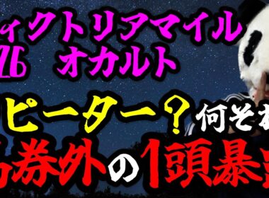 【ヴィクトリアマイル2026 オカルト🐼】リピーター出走時に纏わるオカルト👻有力人気馬が馬券から飛ぶオカルトを暴露🐼🔥