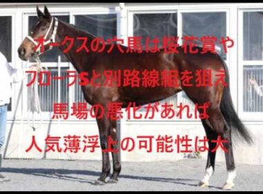 オークスの穴馬は桜花賞とフローラSとは別路線組の馬を狙え 馬場の悪化があれば人気薄浮上の可能性は大