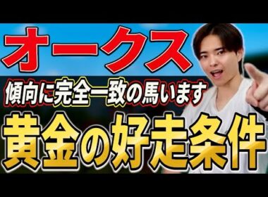 【オークス2026 展開分析】スターアニスやラフターラインズはいかに！？過去展開から導く！
