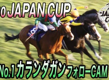 【2025 ジャパンC】　世界レコード！世界最強馬カランダガン フォローCAM