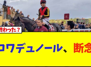 クロワデュノール、今年は断念か…と話題に【競馬】