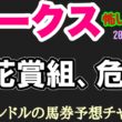 【オークス2026】桜花賞組は危険!? エルコンドル激推しの怖すぎる伏兵馬3頭！2400m適性で大波乱警報！