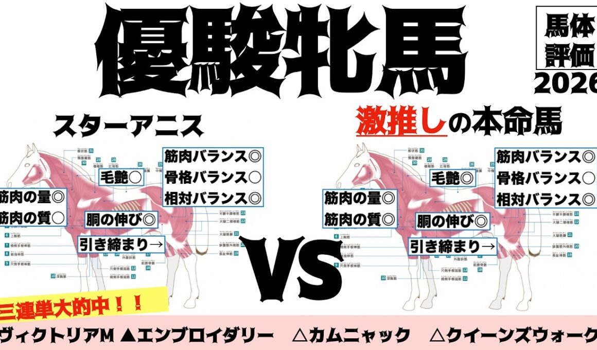 【優駿牝馬（オークス）2026】スターアニス距離OKそう！！穴っぽいところに良い馬体多くて困るぜ。【馬体評価】