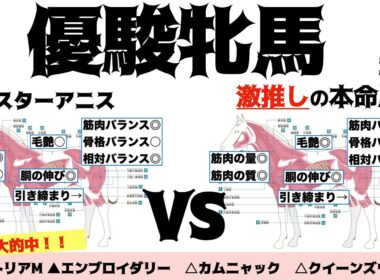 【優駿牝馬（オークス）2026】スターアニス距離OKそう！！穴っぽいところに良い馬体多くて困るぜ。【馬体評価】
