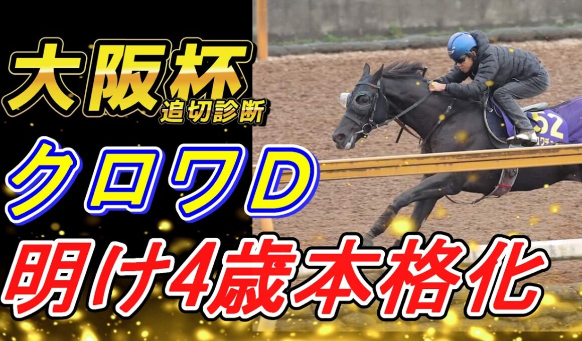 【大阪杯2026 追切診断‼】クロワデュノール、精神面で成長してくれれば…‼　元馬術選手のコラム