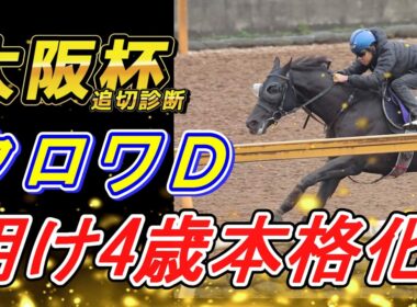 【大阪杯2026 追切診断‼】クロワデュノール、精神面で成長してくれれば…‼　元馬術選手のコラム