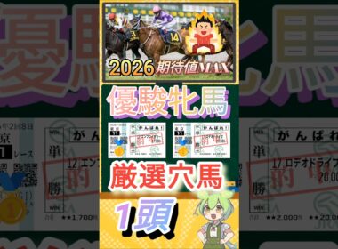オークス期待値MAX厳選穴馬1頭2026年
