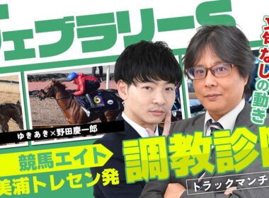 【競馬エイト調教診断】フェブラリーS（ゆきあき＆野田慶一郎）