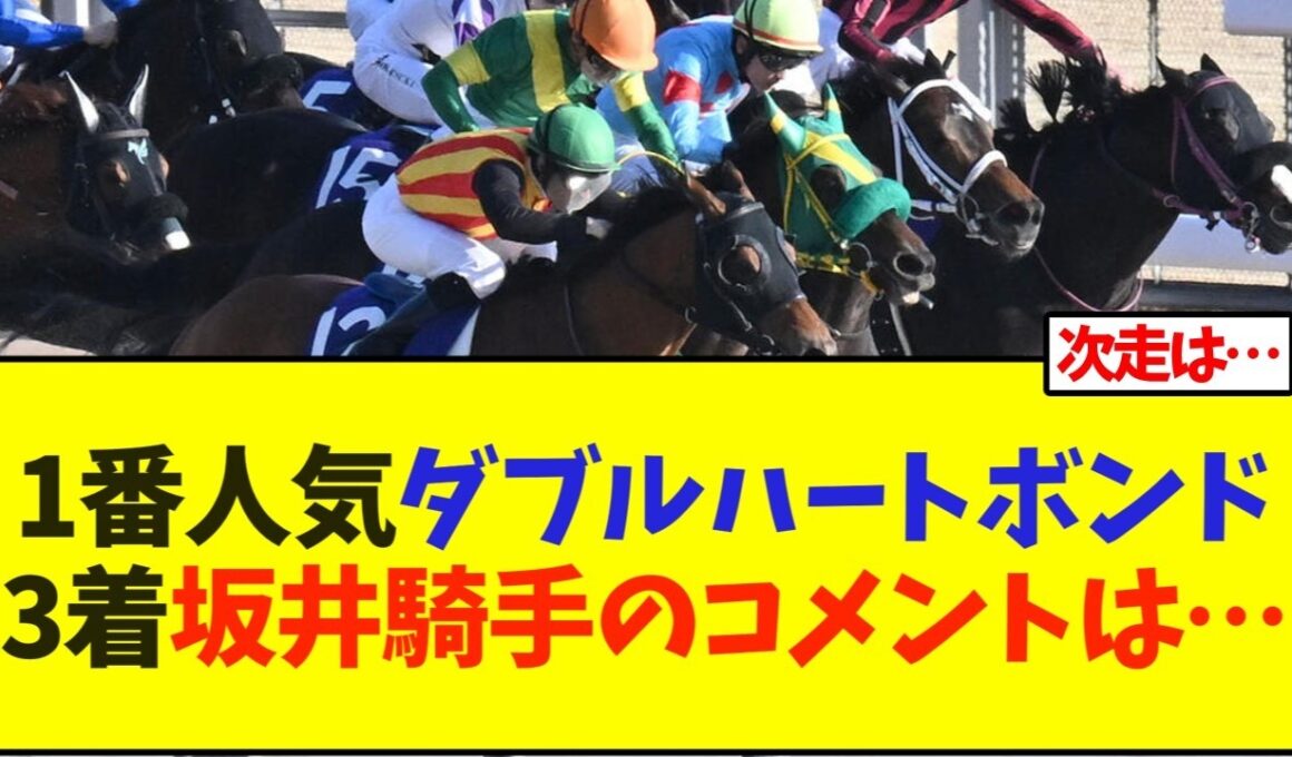 【フェブラリーステークス】1番人気ダブルハートボンド、3着坂井騎手のコメントは…【競馬】