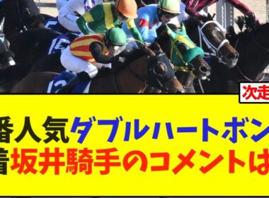 【フェブラリーステークス】1番人気ダブルハートボンド、3着坂井騎手のコメントは…【競馬】