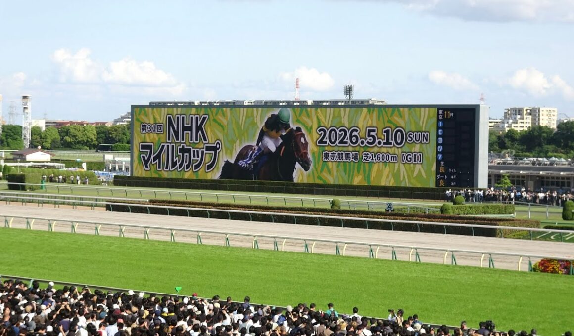 【NHKマイルカップ2026】レース前のカッコいい煽りV〜生ファンファーレ ロデオドライブ【NHK交響楽団】