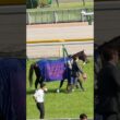 第21回ヴィクトリアマイル 優勝 エンブロイダリー