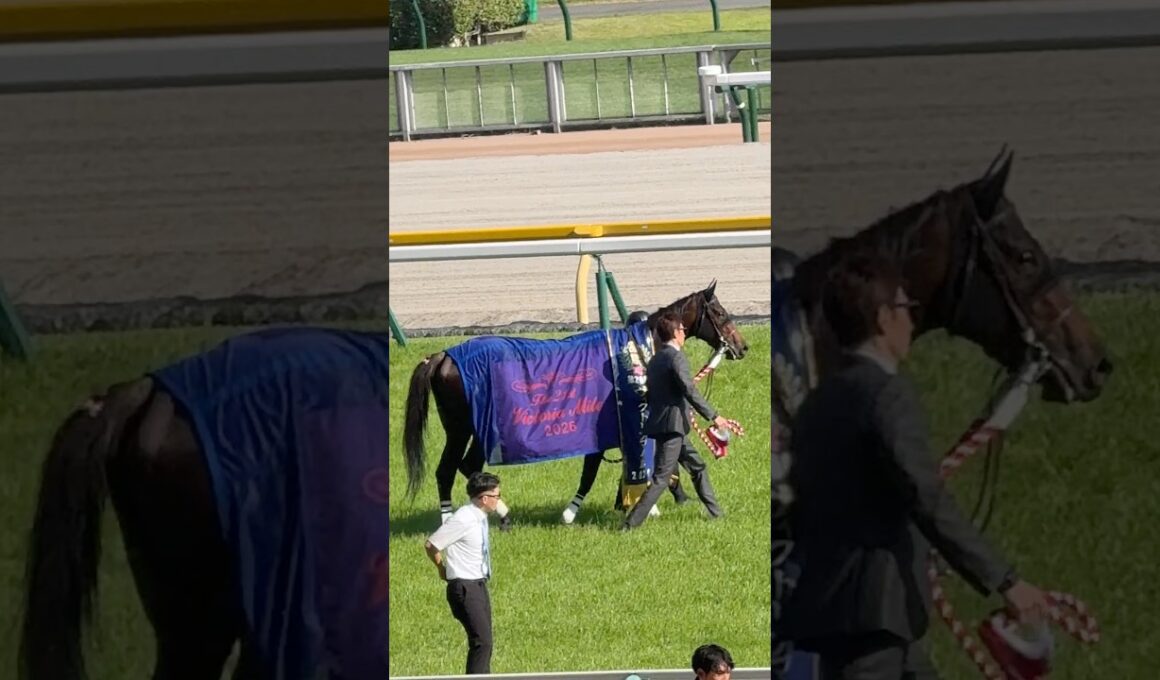 第21回ヴィクトリアマイル 優勝 エンブロイダリー