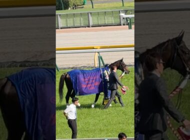 第21回ヴィクトリアマイル 優勝 エンブロイダリー