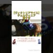 【ヴィクトリアマイル2026】チェルヴィニア弱すぎ　 #競馬