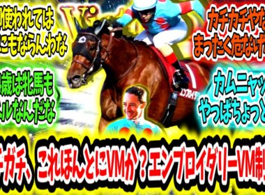 『ガチガチすぎる、これほんとにVMか？牝馬に敵なしエンブロイダリーヴィクトリアマイル制覇ァ‼』に対するみんなの反応【競馬の反応集】