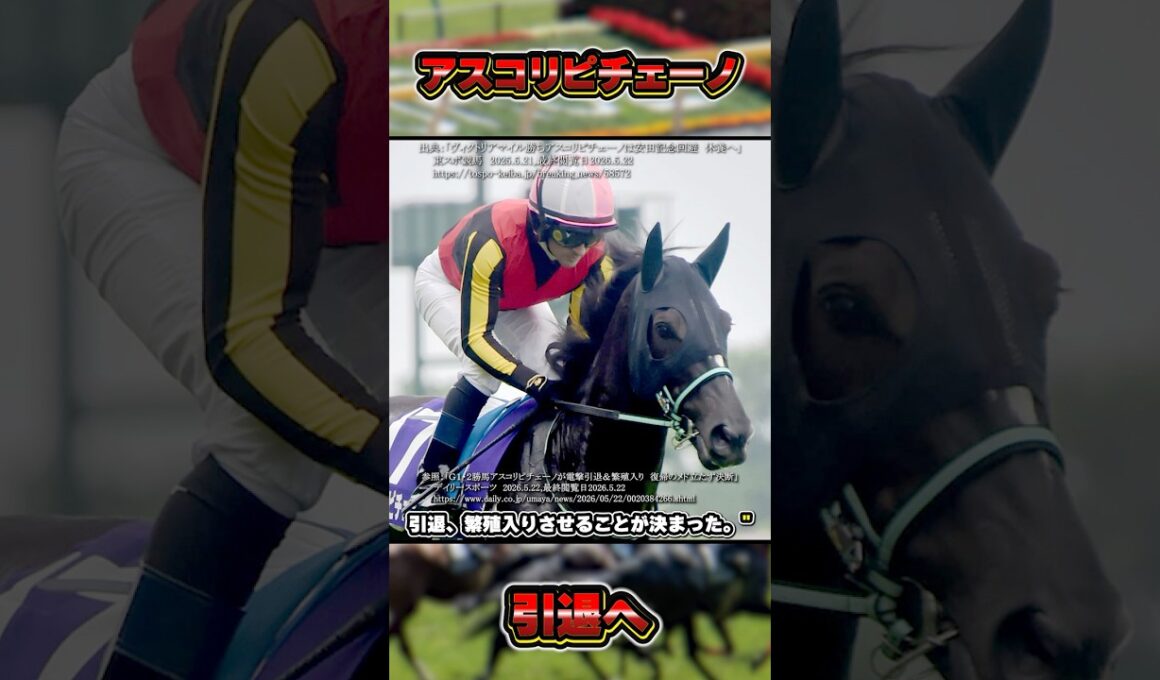 【牝馬マイルG1・2勝】アスコリピチェーノが引退・繫殖入り　#shorts #競馬 #競馬予想 #中央競馬予想 #馬 #アスコリピチェーノ #阪神ジュベナイルフィリーズ #桜花賞 #ルメール