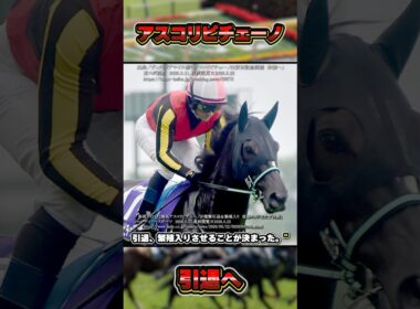 【牝馬マイルG1・2勝】アスコリピチェーノが引退・繫殖入り　#shorts #競馬 #競馬予想 #中央競馬予想 #馬 #アスコリピチェーノ #阪神ジュベナイルフィリーズ #桜花賞 #ルメール