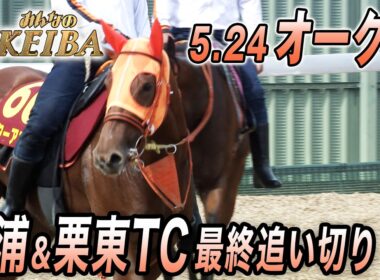 【2026年オークス・最終追い切り】  桜の女王 スターアニス２冠なるか？　みんなのKEIBA　5月24日　午後3時放送