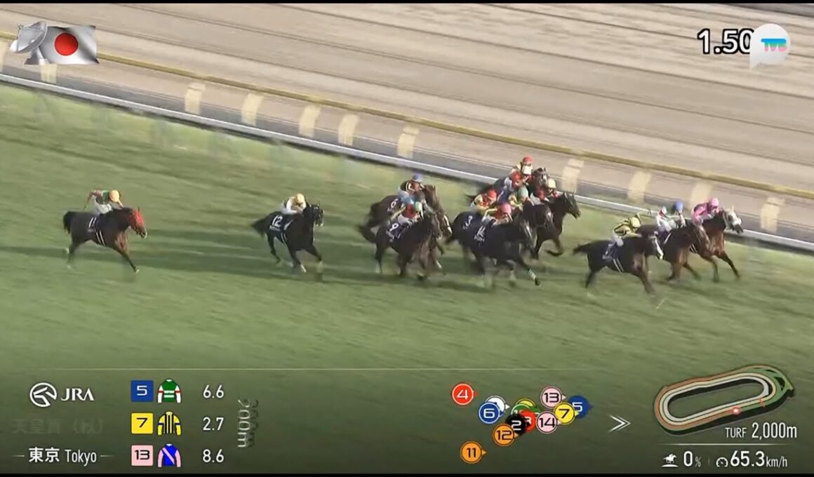 日本秋季天皇賞 Tenno Sho Autumn 一級賽 G1 2000m 2025-11-02 蒙面舞會 Masquerade Ball 東京競馬場 Tokyo Racecourse