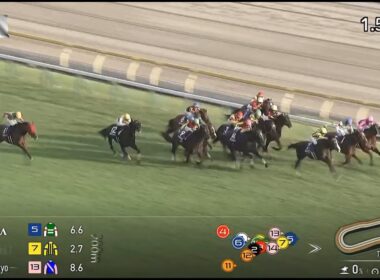 日本秋季天皇賞 Tenno Sho Autumn 一級賽 G1 2000m 2025-11-02 蒙面舞會 Masquerade Ball 東京競馬場 Tokyo Racecourse