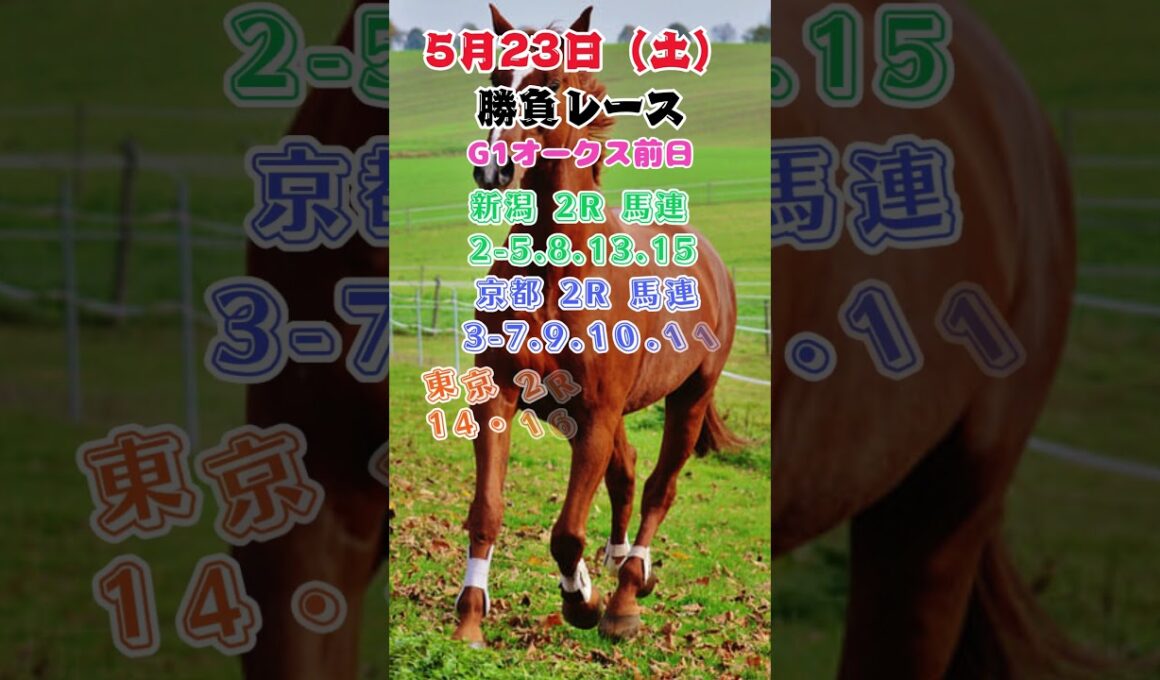 g1優駿牝馬オークス前日　中央競馬勝負レース　5月23日#shorts