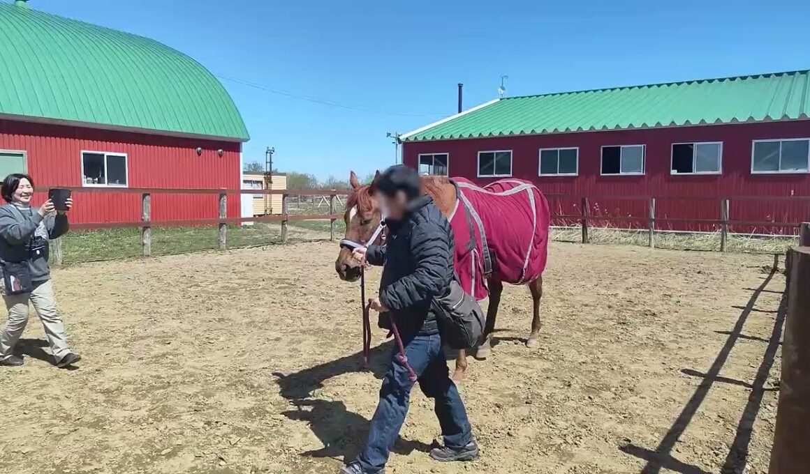 安田記念勝ち馬・アサクサデンエンの引き馬体験