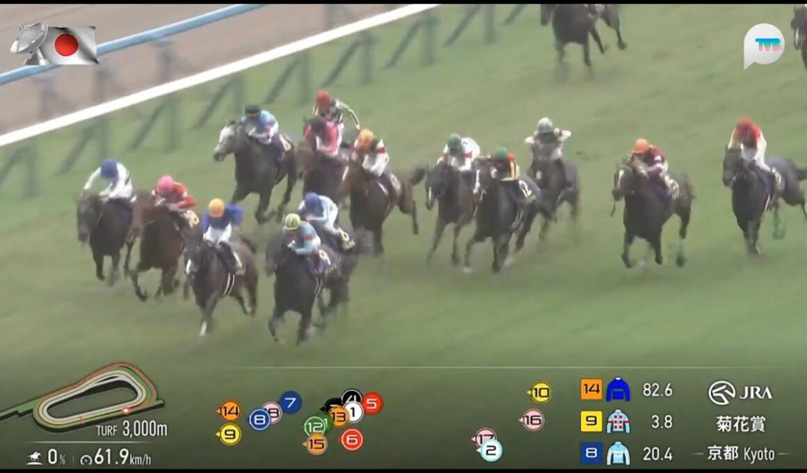 日本菊花賞 Kikuka Sho 一級賽 G1 3000m 2025-10-26 剛勁力 Energico 京都競馬場 Kyoto Racecourse
