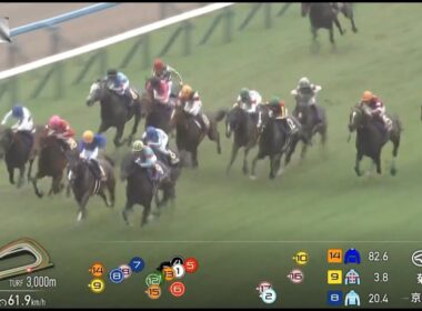 日本菊花賞 Kikuka Sho 一級賽 G1 3000m 2025-10-26 剛勁力 Energico 京都競馬場 Kyoto Racecourse