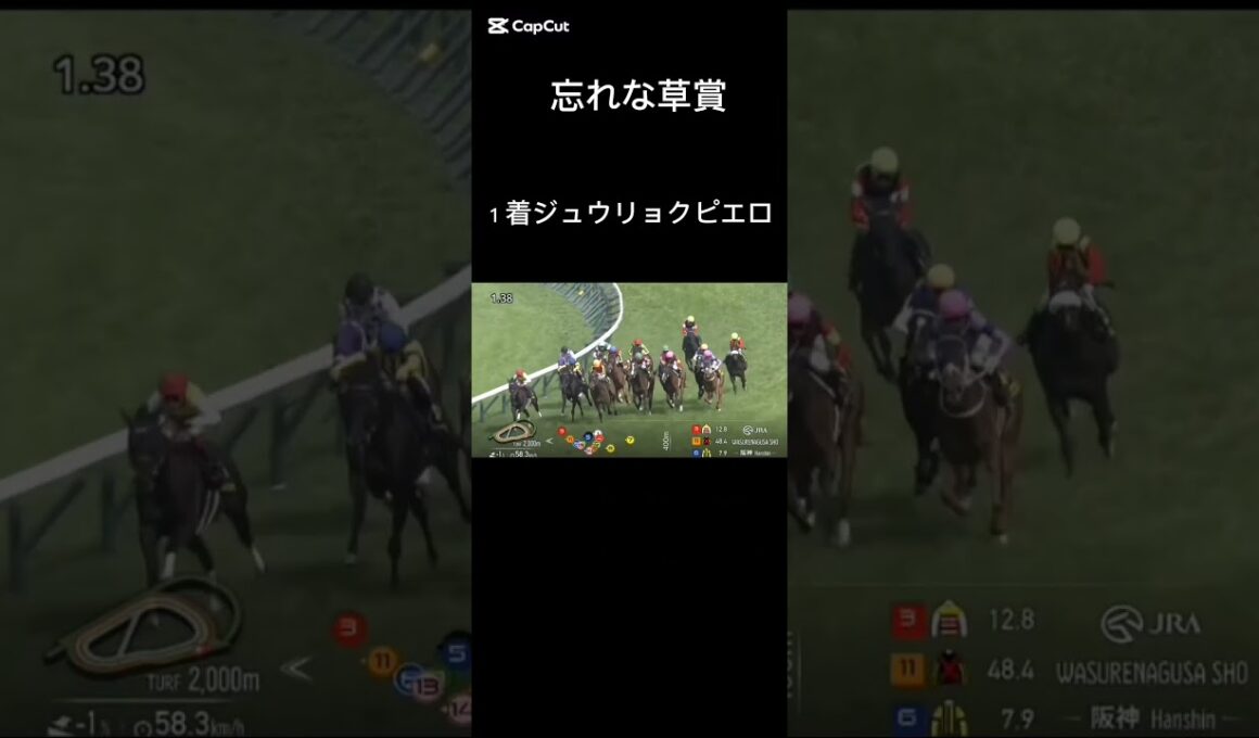 オークス予想！！自信度SSS！！絶対見たほうがいい！！当たって当然予想！！