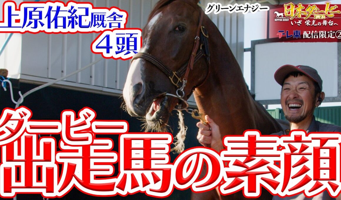 【配信限定】ダービー出走馬の素顔公開！上原佑紀厩舎を支えるホースマン｜日本ダービー2026 いざ 栄光の舞台へ