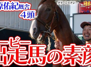 【配信限定】ダービー出走馬の素顔公開！上原佑紀厩舎を支えるホースマン｜日本ダービー2026 いざ 栄光の舞台へ