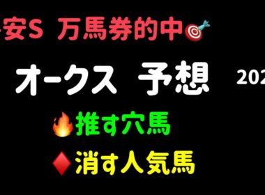【競馬予想】　オークス　予想　2026  優駿牝馬