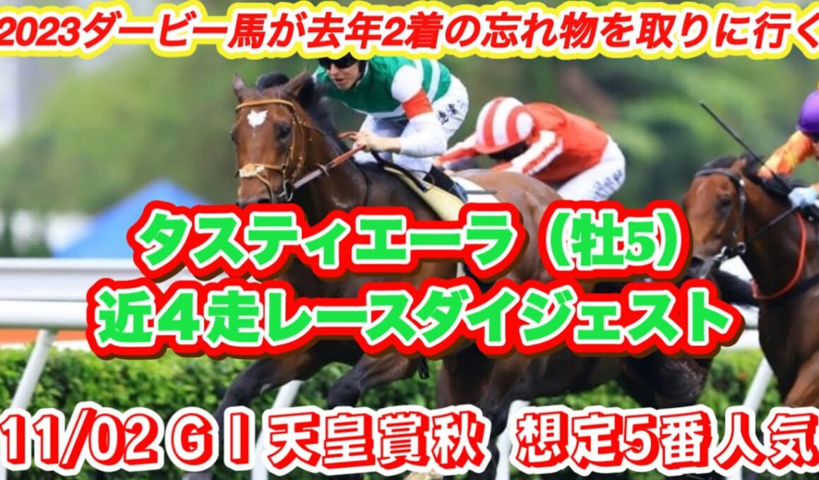 【タスティエーラ】G I天皇賞秋想定5番人気！2023ダービー馬で去年天皇賞秋2着馬の近4走レースダイジェスト