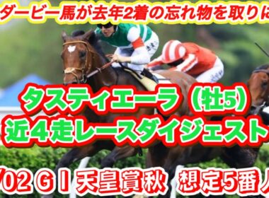 【タスティエーラ】G I天皇賞秋想定5番人気！2023ダービー馬で去年天皇賞秋2着馬の近4走レースダイジェスト