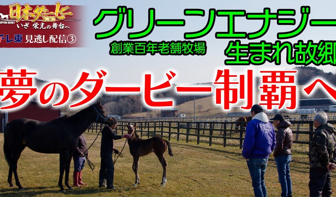 【公式】グリーンエナジーの生まれ故郷。創業100年を超える老舗牧場が、夢のダービー制覇へ｜日本ダービー2026 いざ 栄光の舞台へ