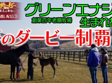 【公式】グリーンエナジーの生まれ故郷。創業100年を超える老舗牧場が、夢のダービー制覇へ｜日本ダービー2026 いざ 栄光の舞台へ