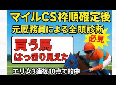 5分でわかるマイルチャンピオンシップ2025枠順確定後全頭診断