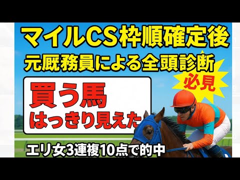 5分でわかるマイルチャンピオンシップ2025枠順確定後全頭診断